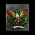 Parche de Lentejuela Termoadhesivo Águila con Cactus 1 PZ M72 Ariel
